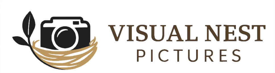 Visual Nest Pictures Logo